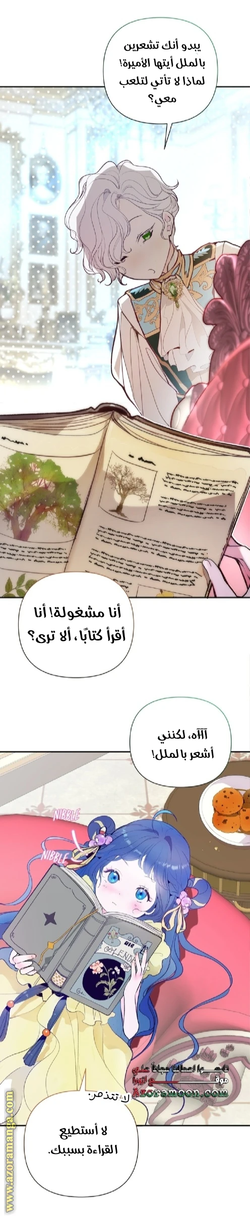 الصفحة 25
