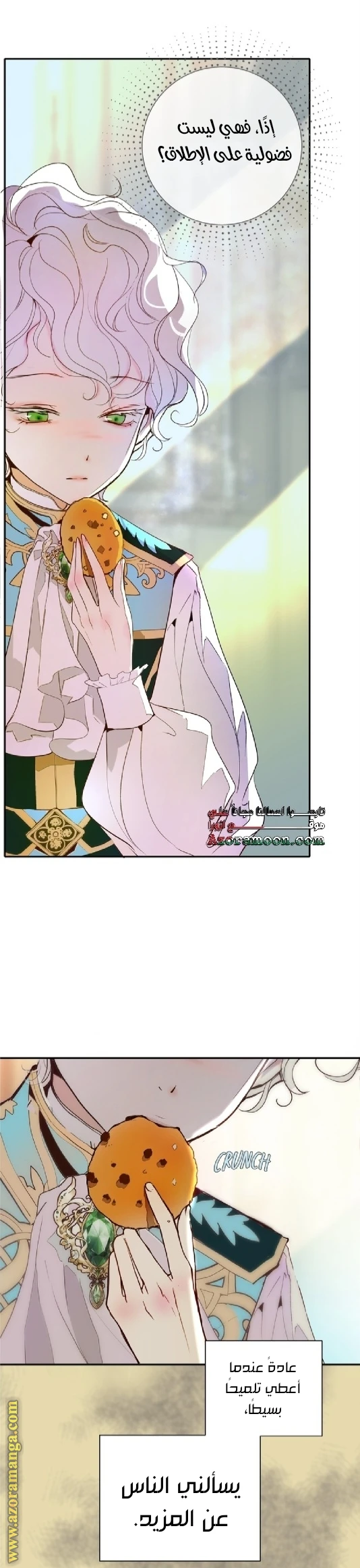 الصفحة 40