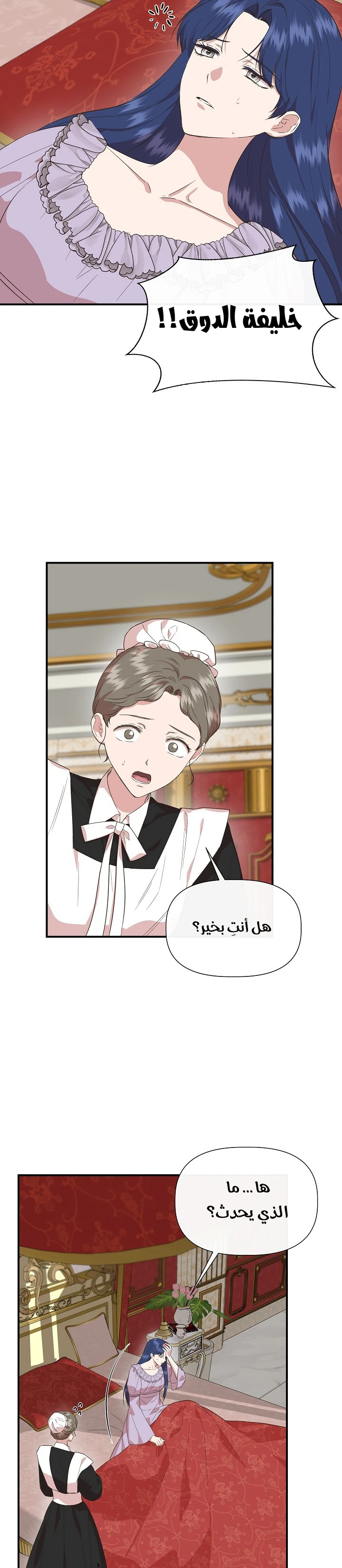 الصفحة 25