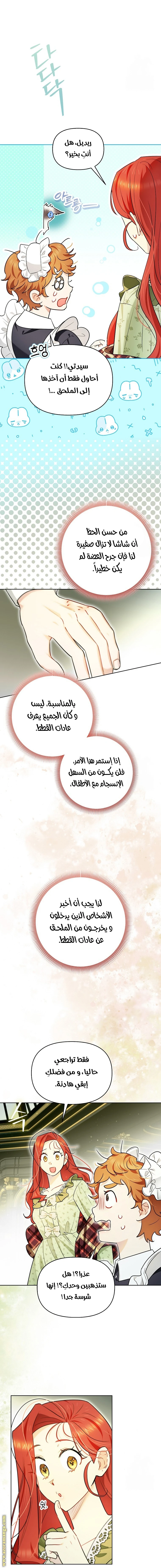 الصفحة 8