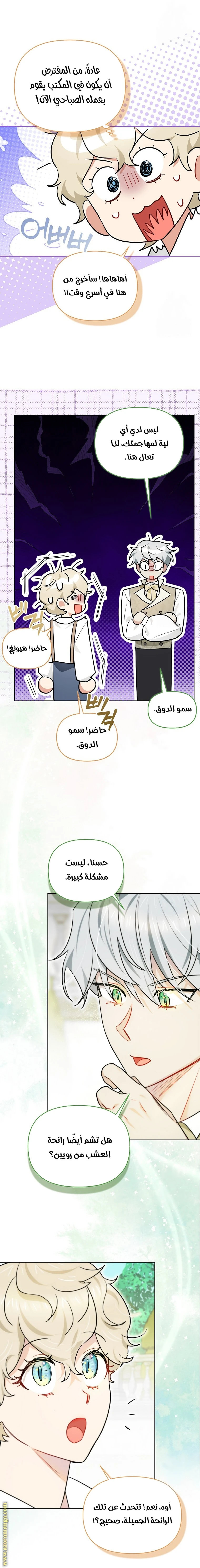 الصفحة 14