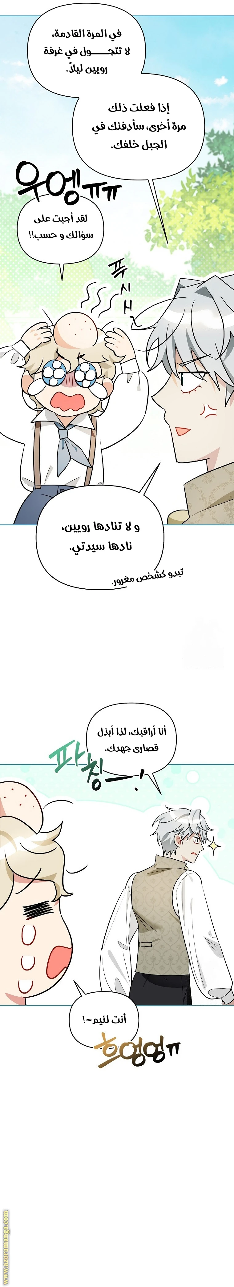 الصفحة 17