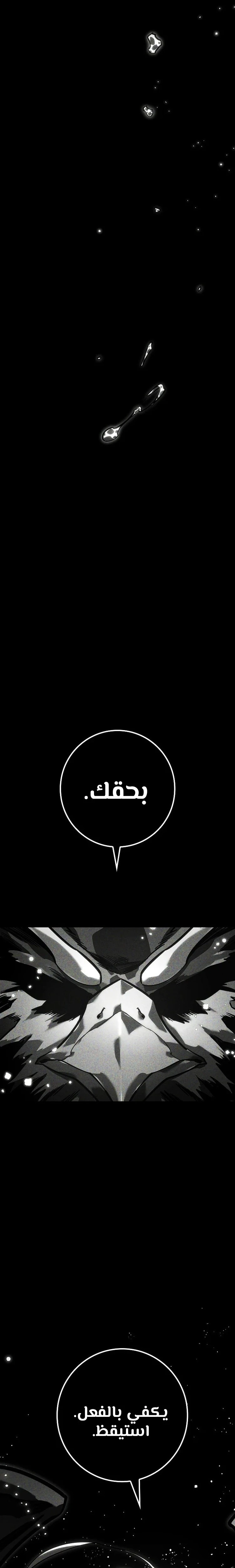 الصفحة 21