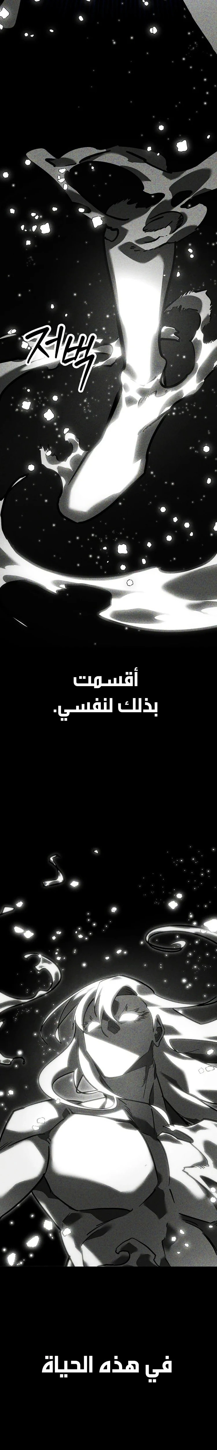 الصفحة 25