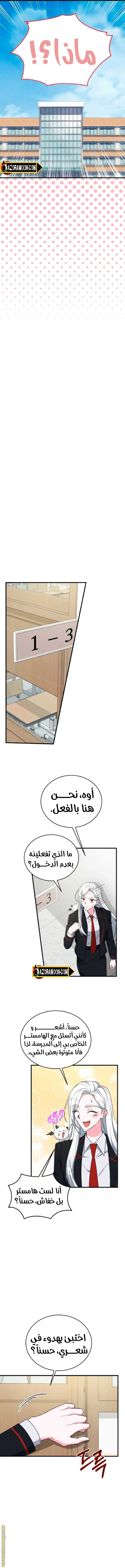 الصفحة 5