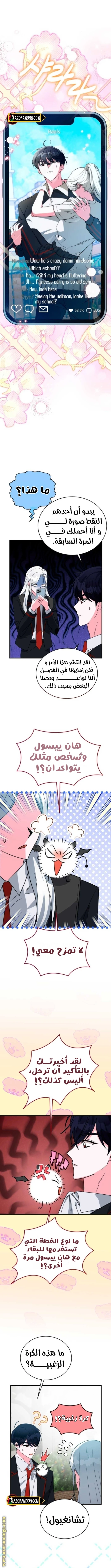 الصفحة 8
