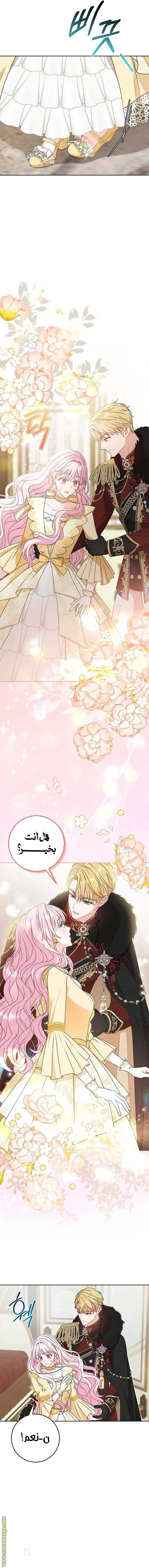 الصفحة 14
