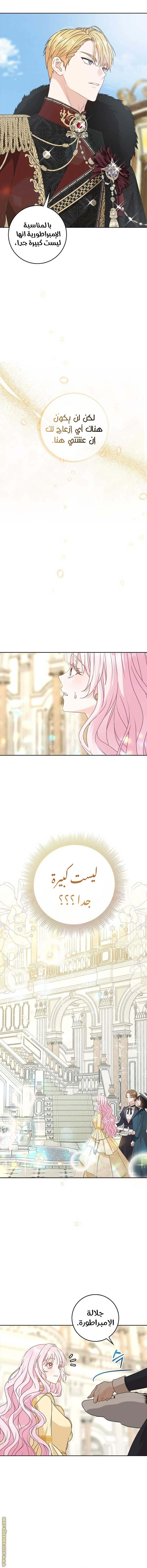 الصفحة 16