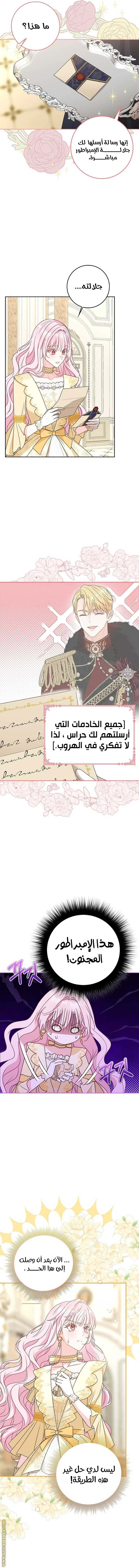 الصفحة 17