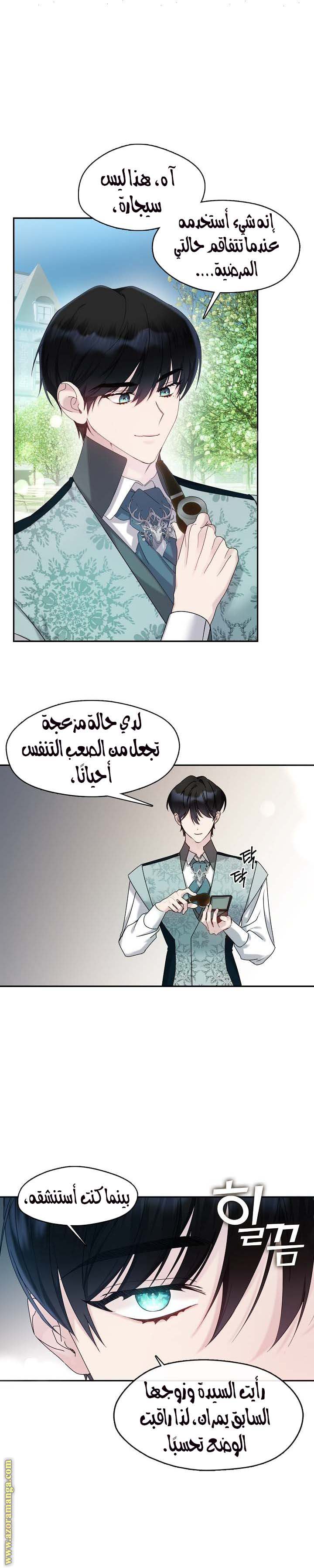 الصفحة 13