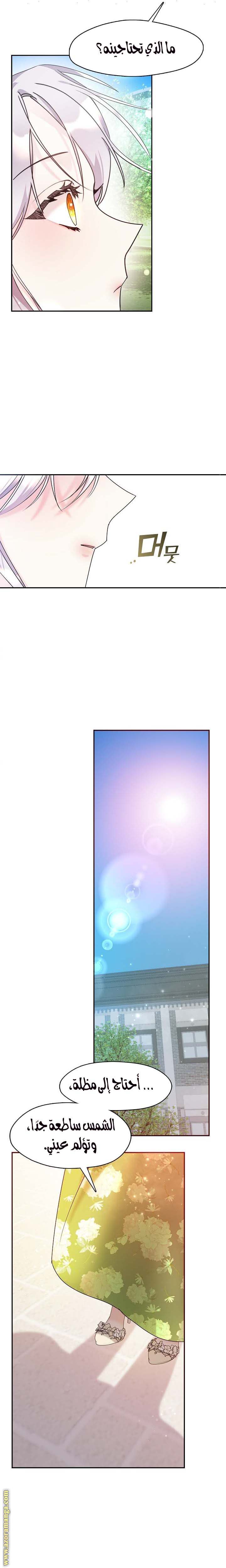 الصفحة 17