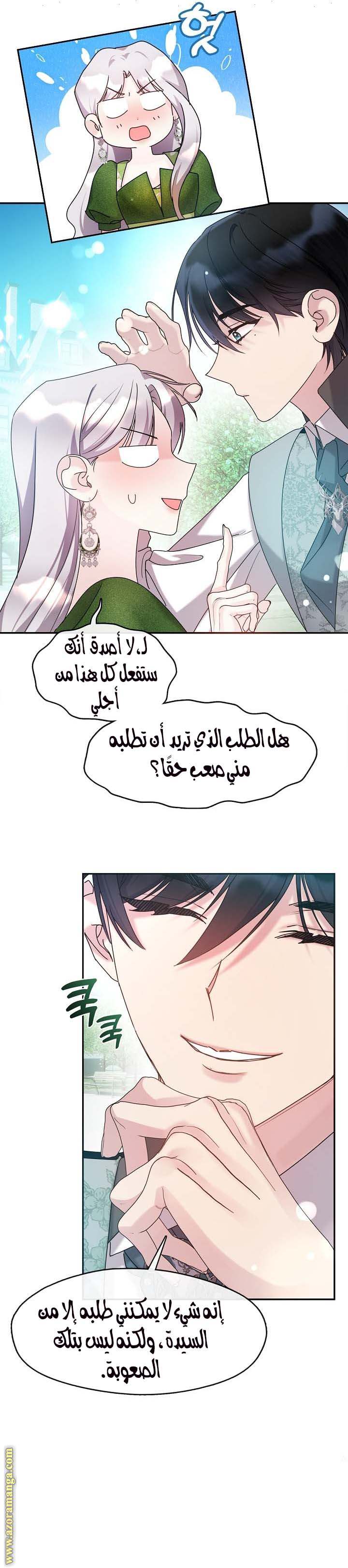 الصفحة 21