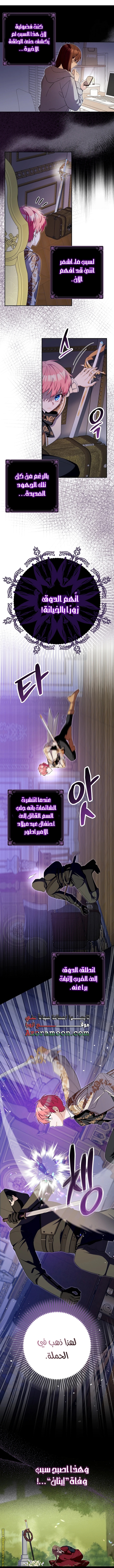 الصفحة 5