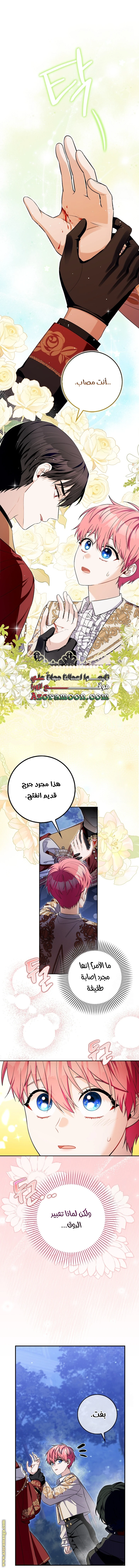 الصفحة 24