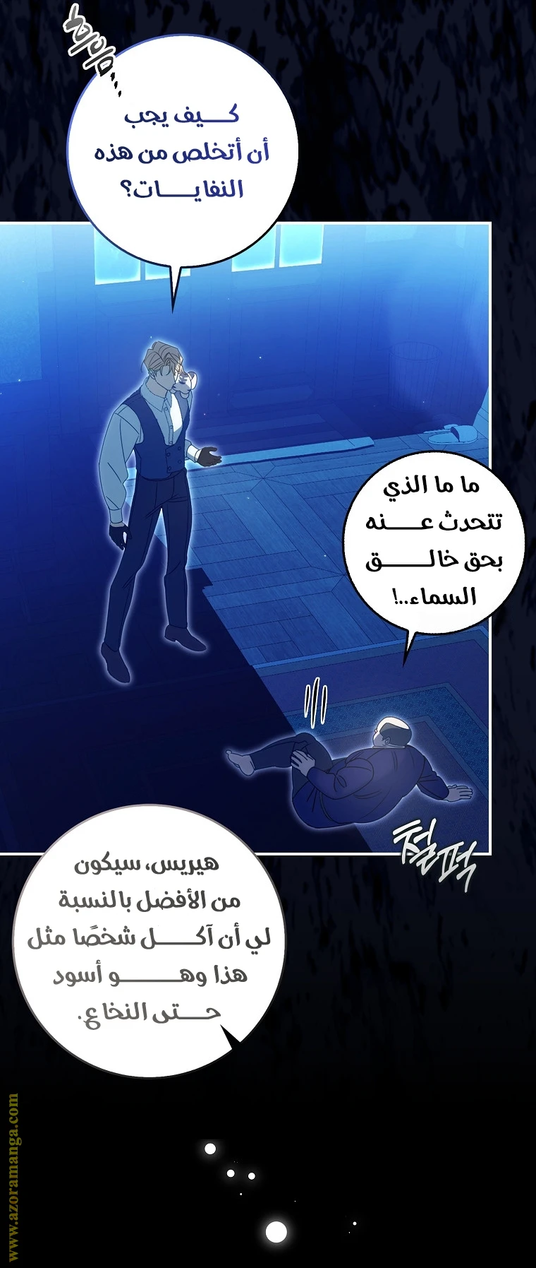 الصفحة 17