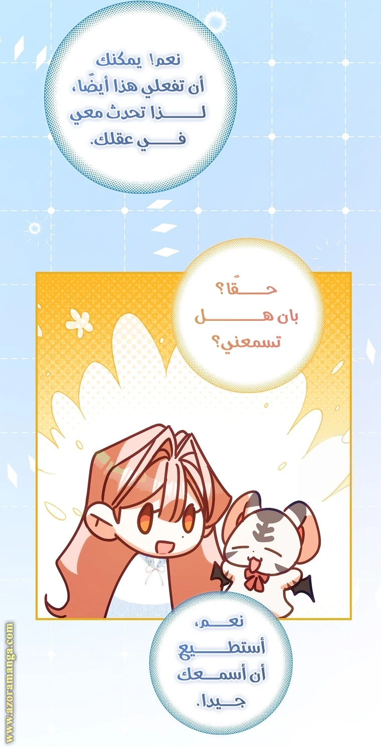 الصفحة 29
