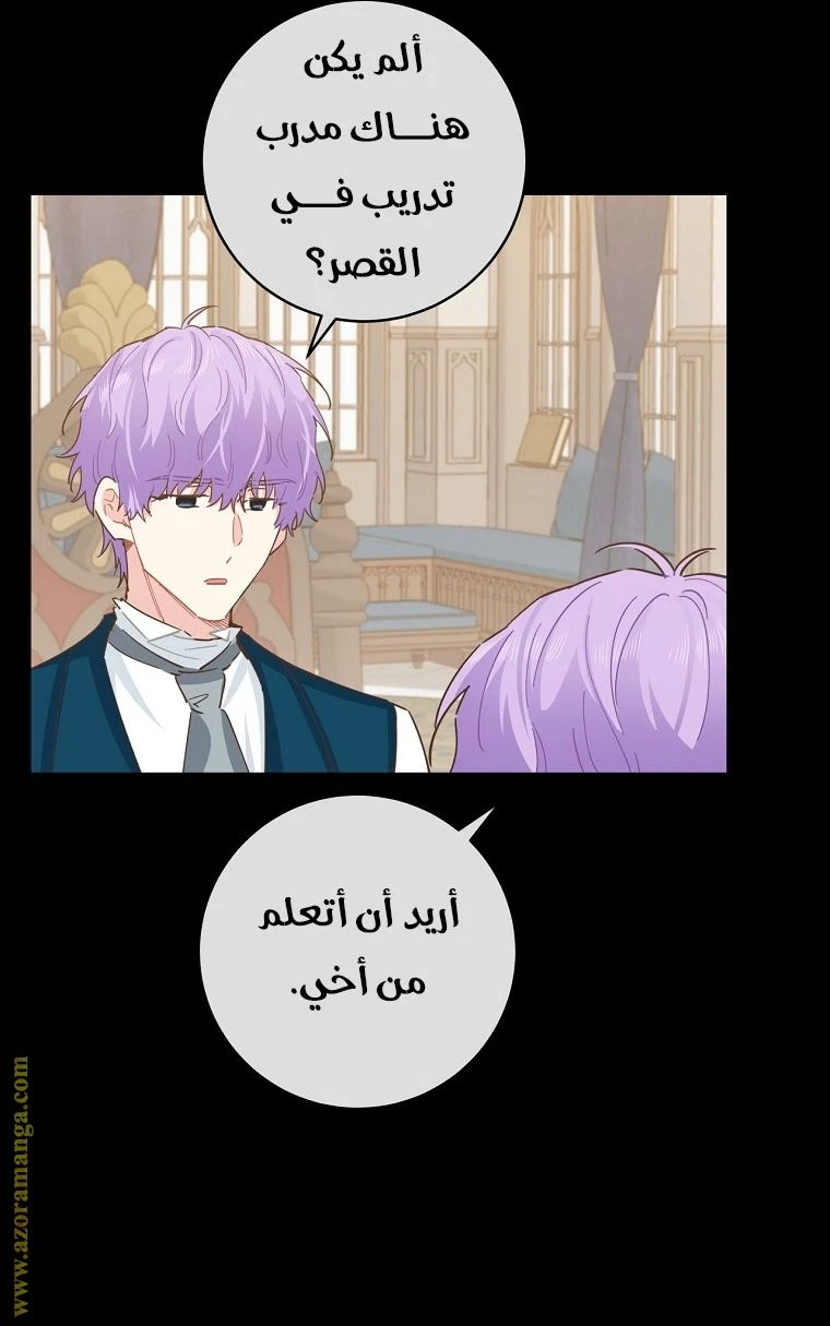 الصفحة 31
