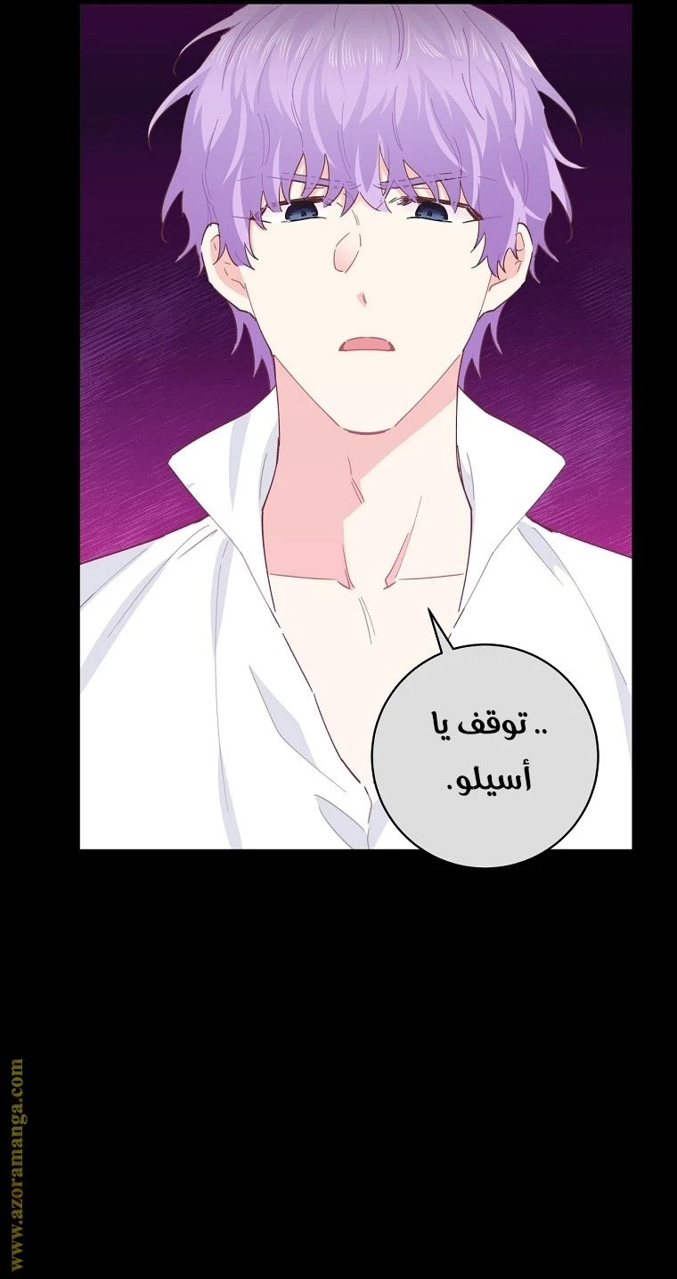 الصفحة 43