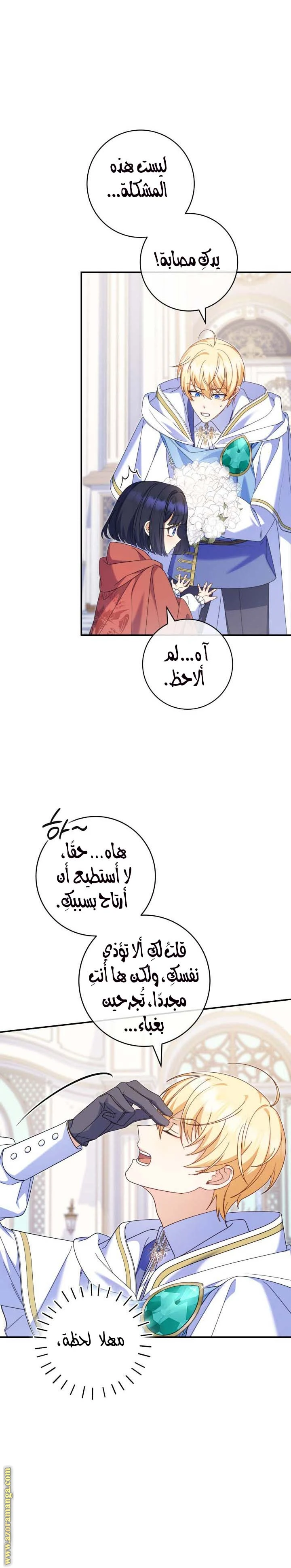 الصفحة 13