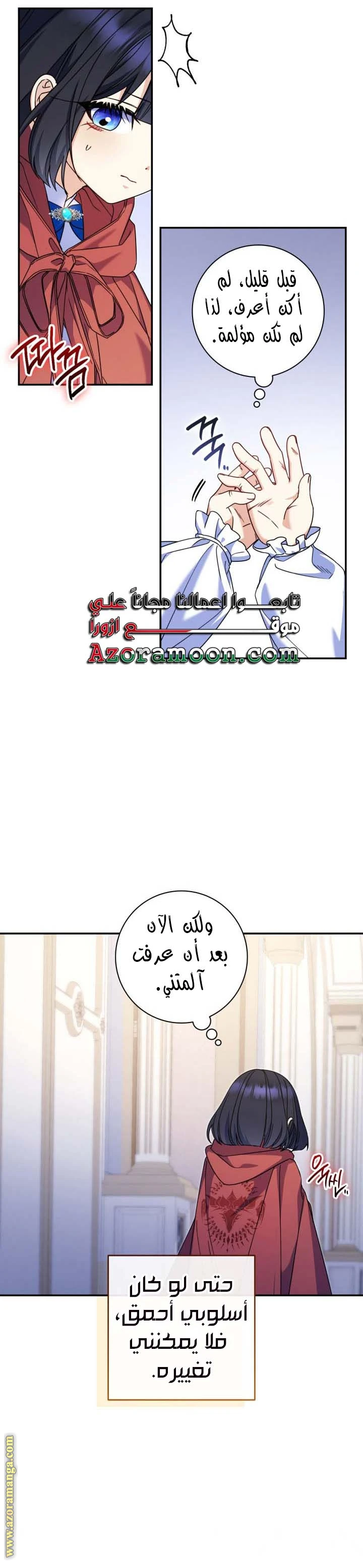 الصفحة 25