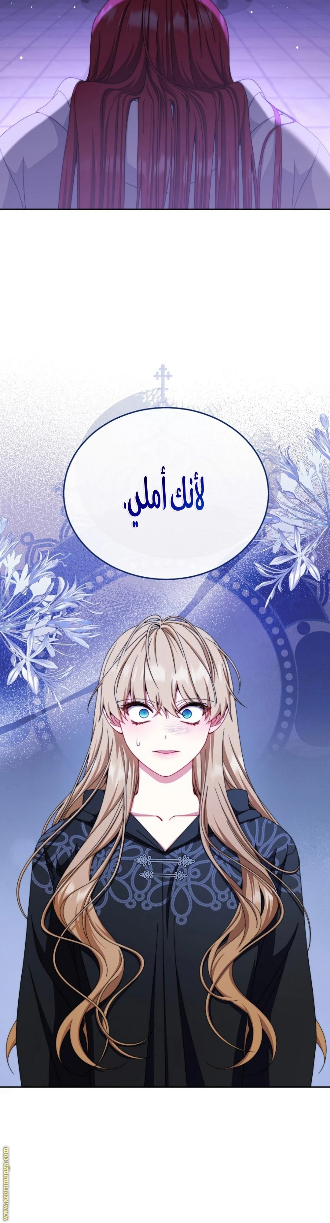 الصفحة 43
