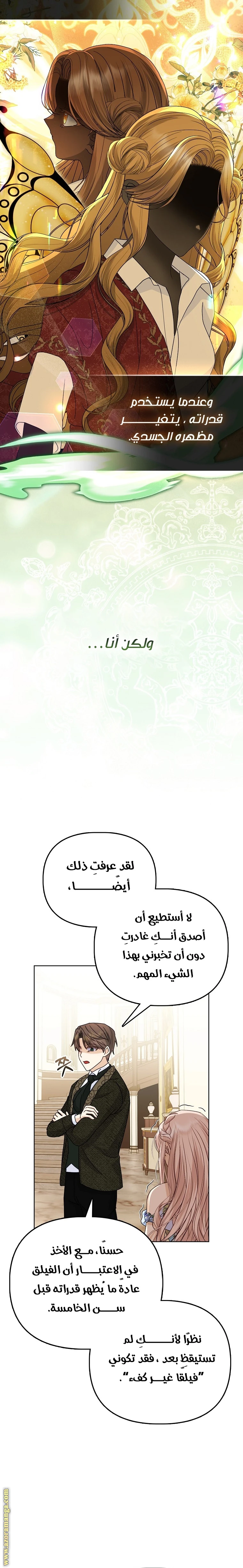 الصفحة 17