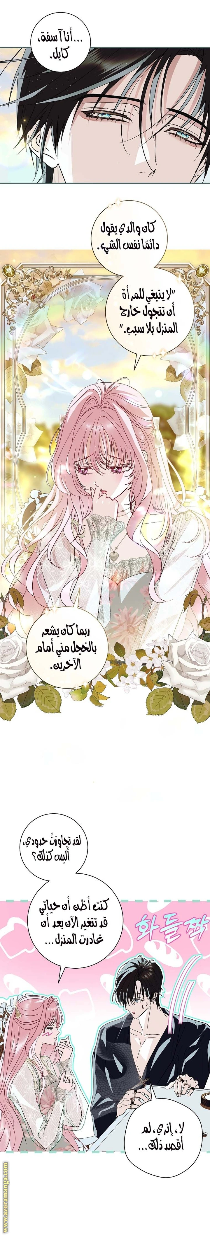 الصفحة 13