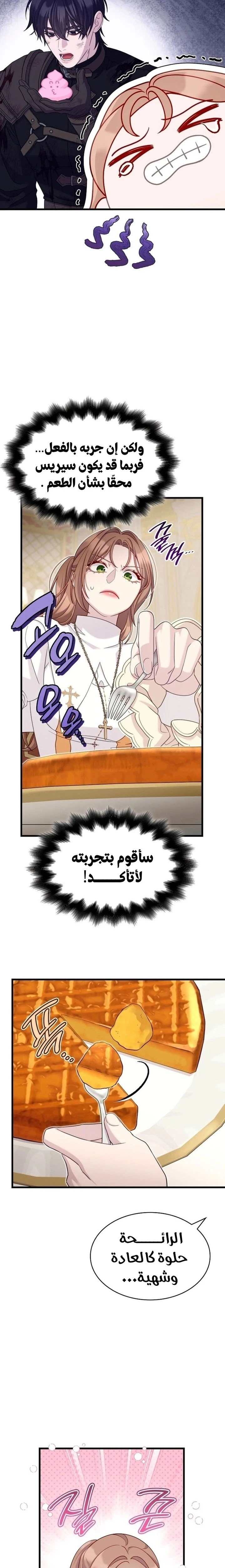 الصفحة 12