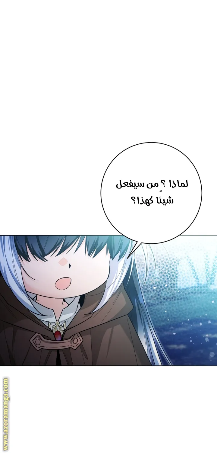 الصفحة 25