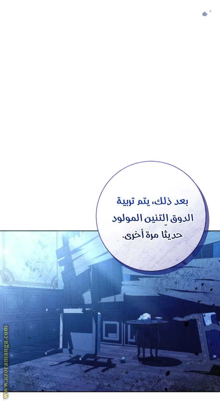 الصفحة 29