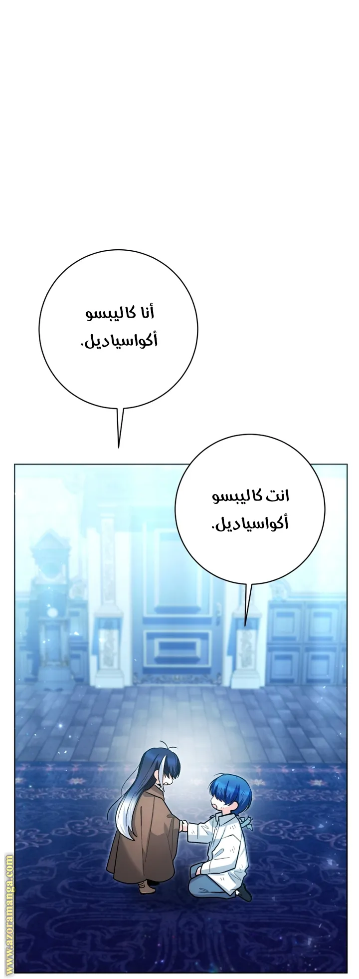 الصفحة 43