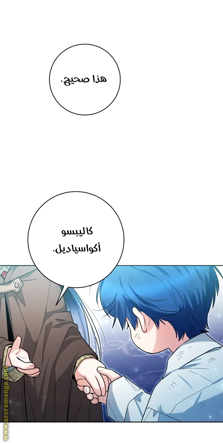 الصفحة 44