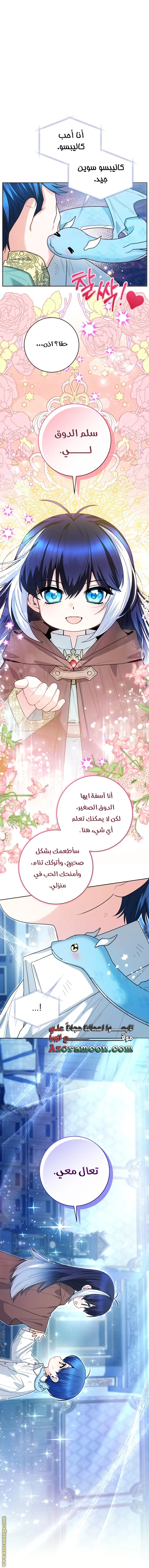 الصفحة 48