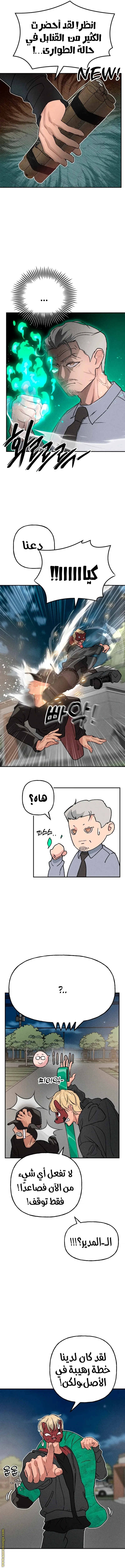 الصفحة 13