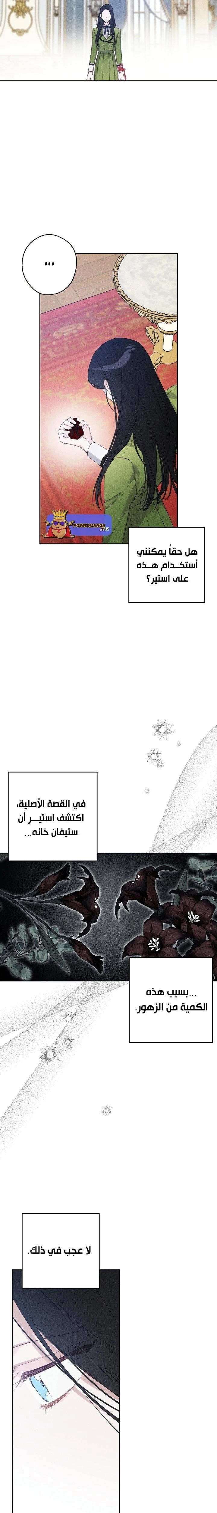 الصفحة 11