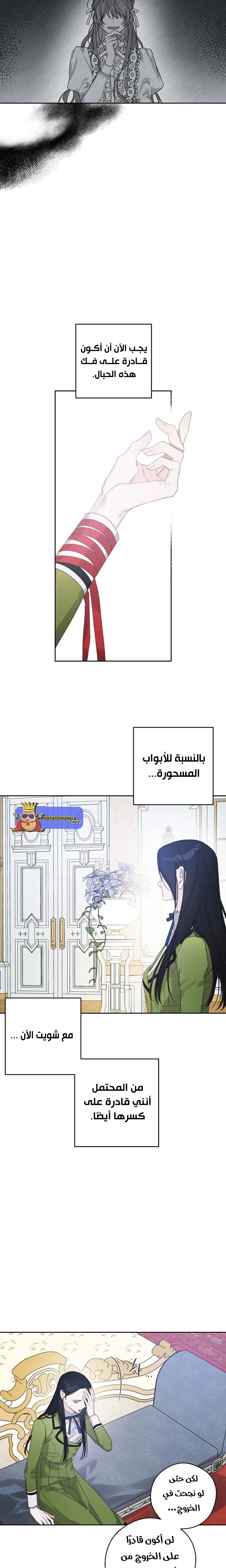 الصفحة 15