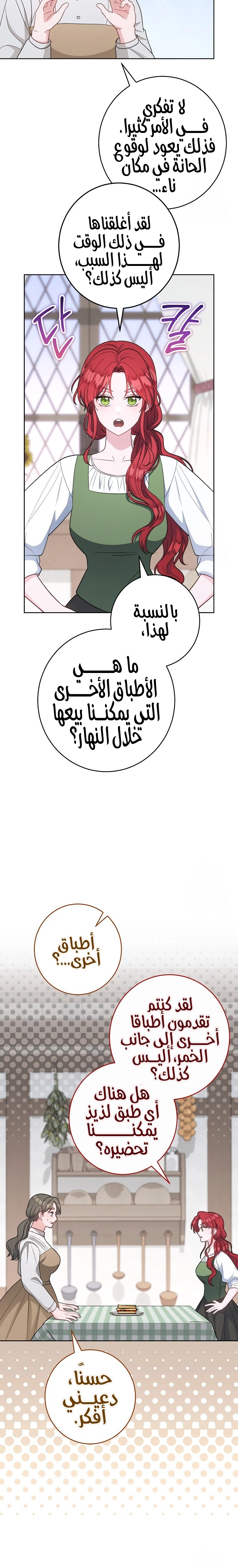 الصفحة 17