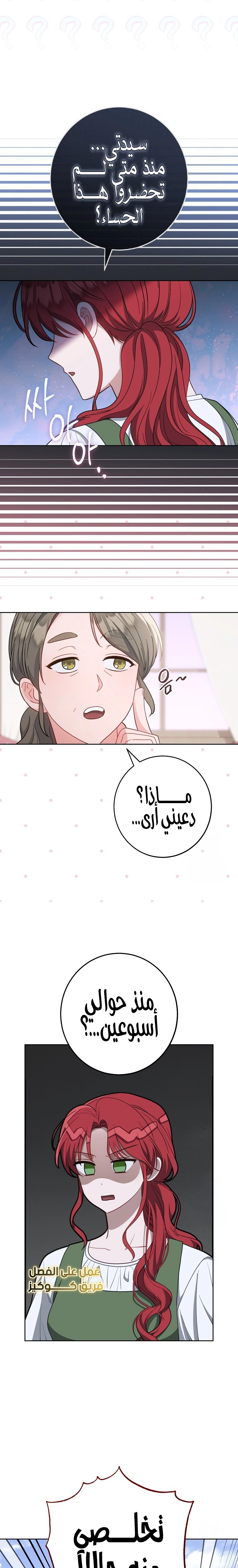 الصفحة 19