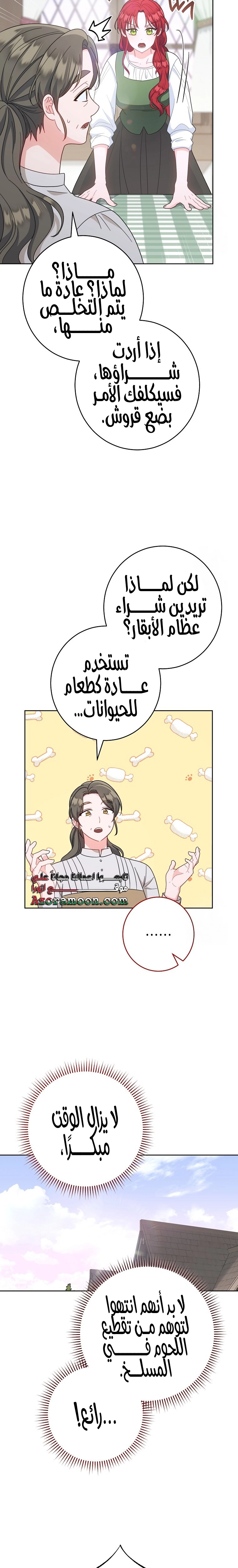 الصفحة 26