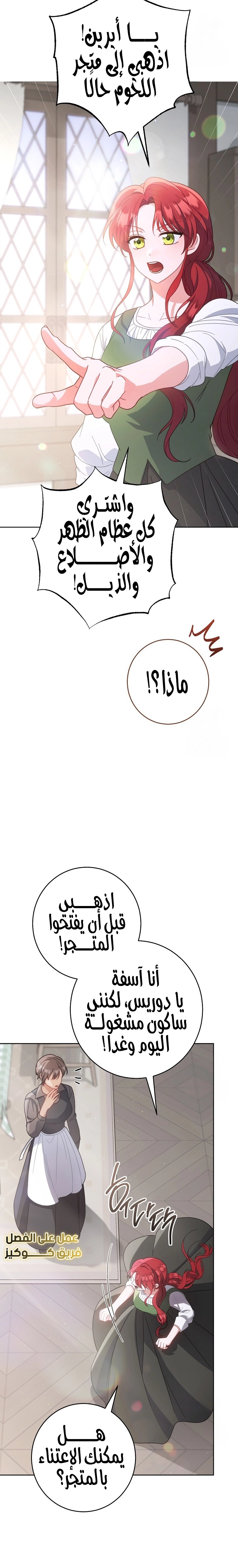 الصفحة 27