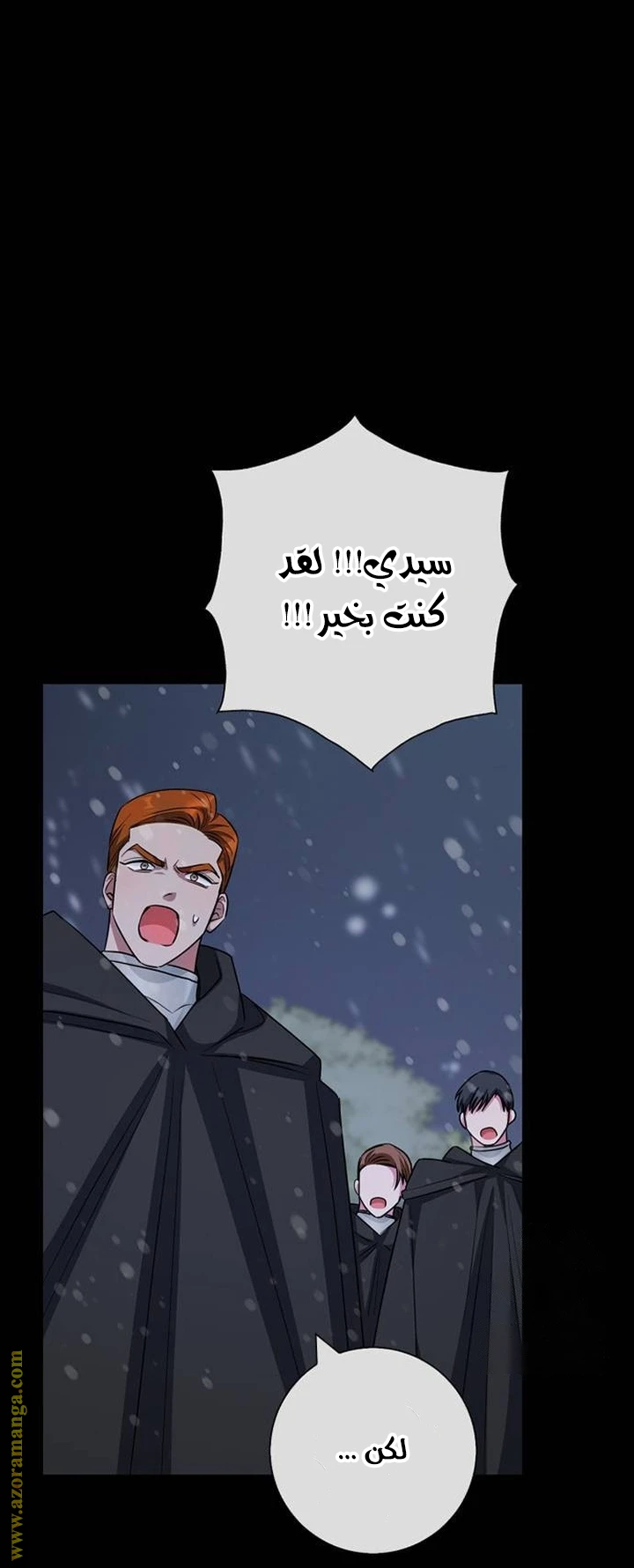 الصفحة 21