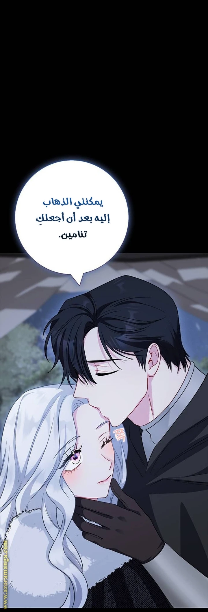 الصفحة 26
