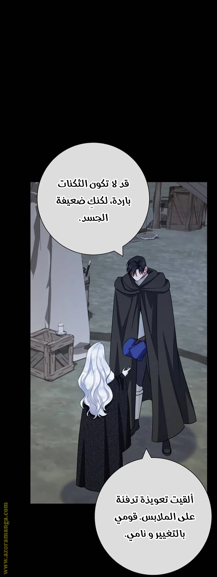 الصفحة 27