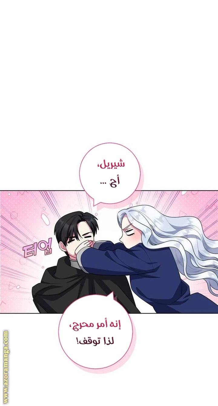 الصفحة 45