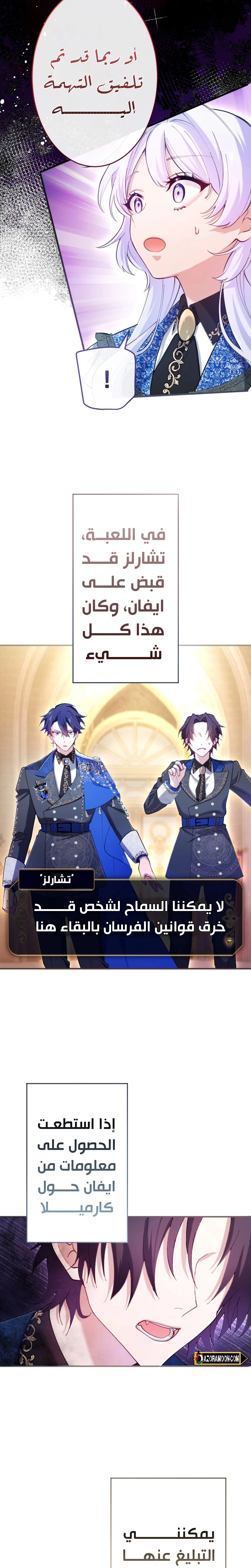 الصفحة 17