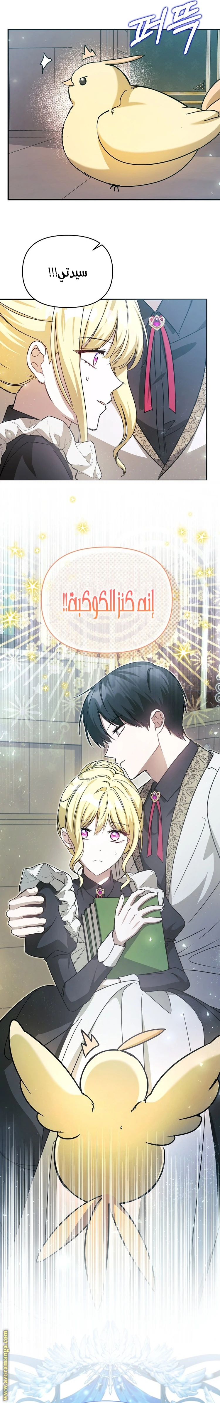 الصفحة 24