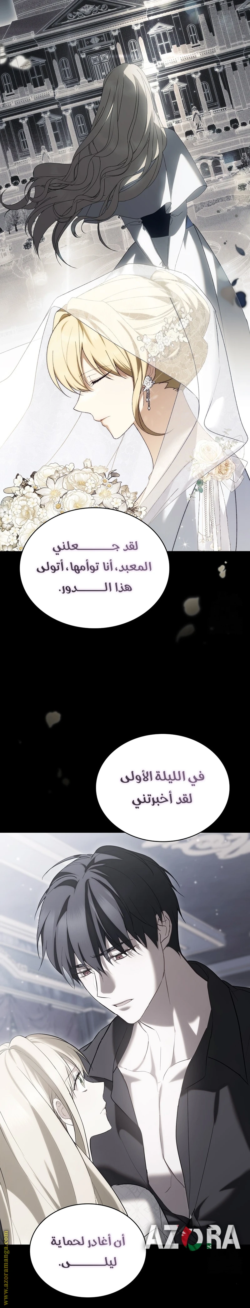 الصفحة 13