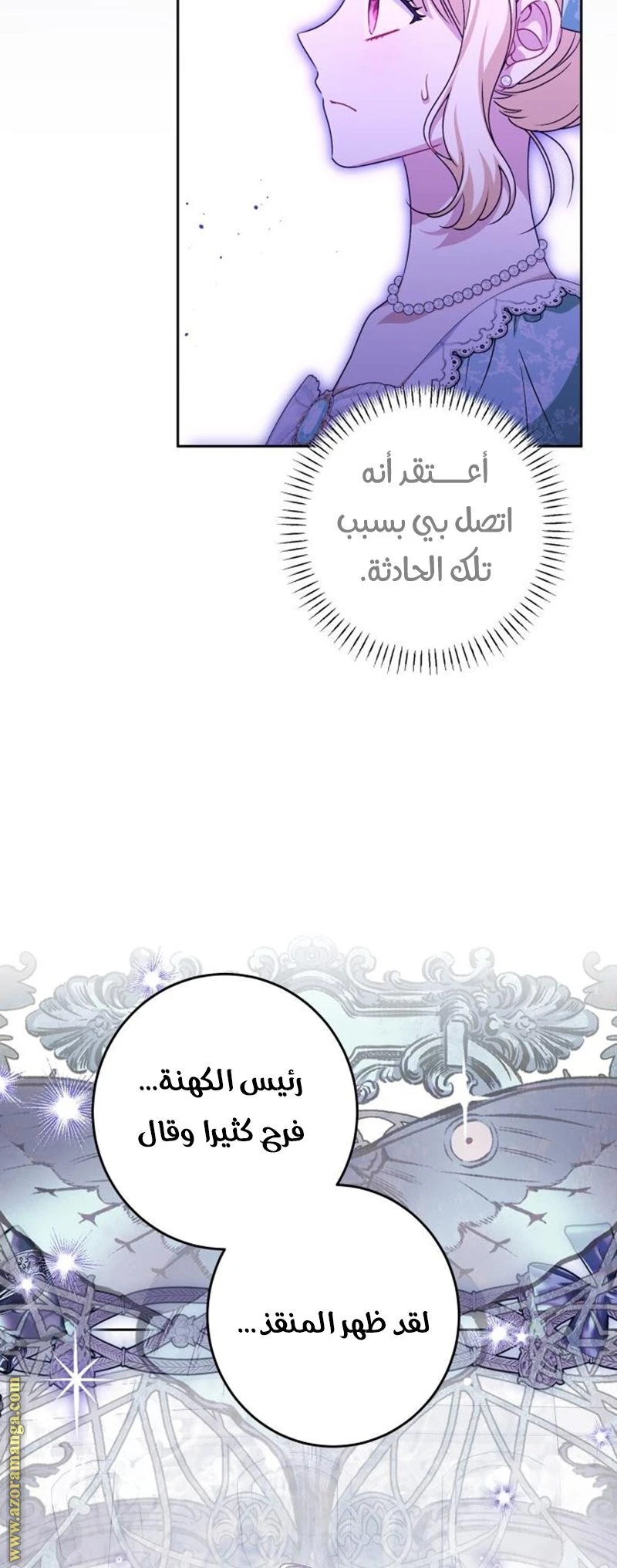 الصفحة 25
