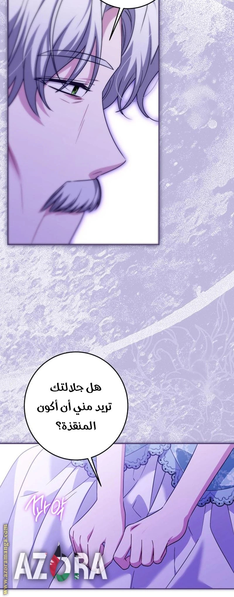 الصفحة 29