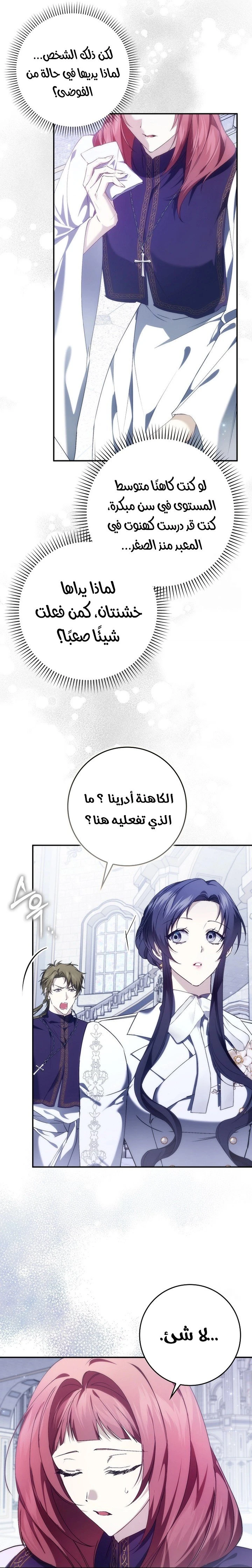 الصفحة 13